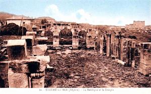 ALGERIE-RUINES ROMAINES DE TIGZIRT (17)